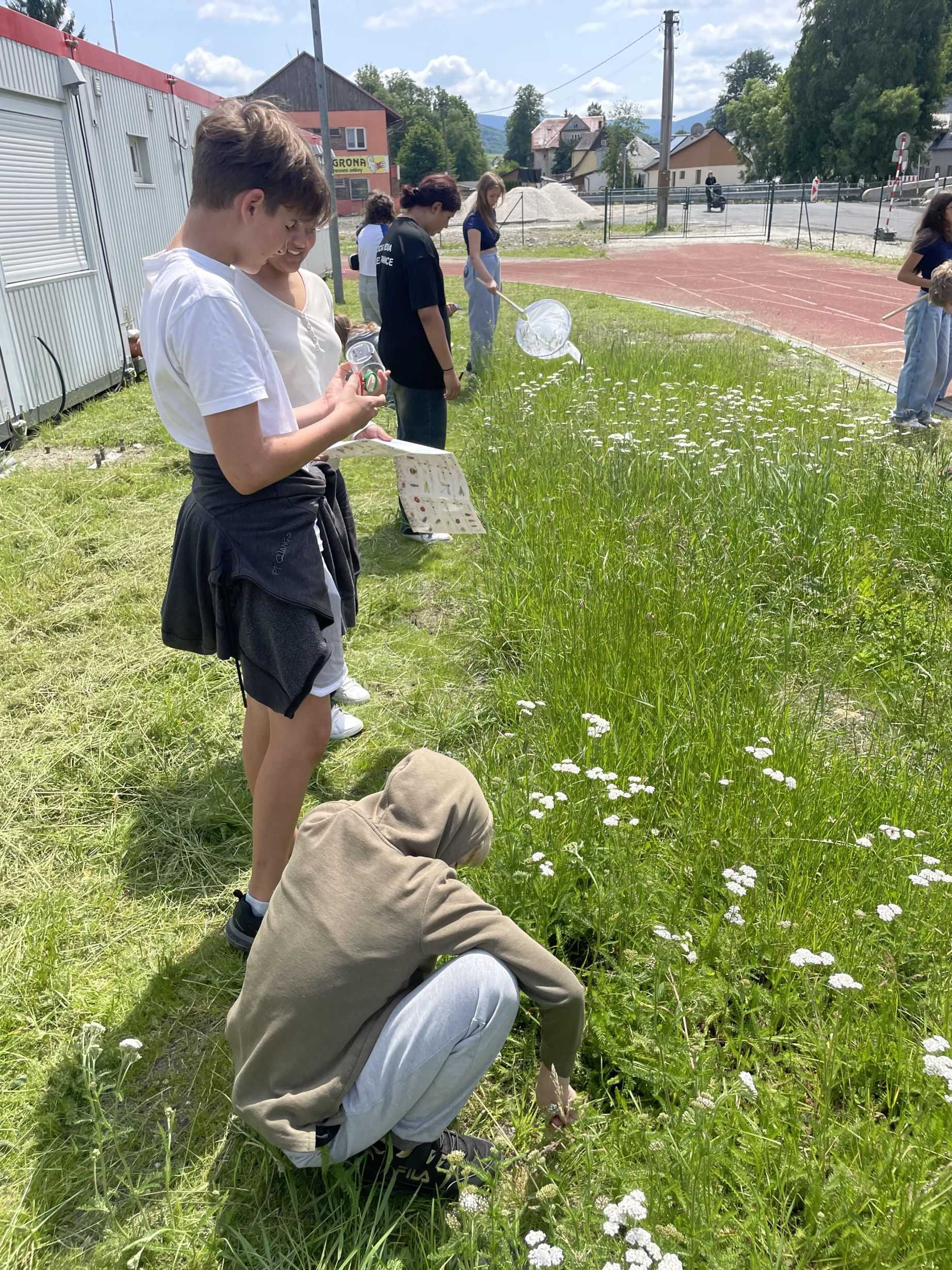 Získali jsme ocenění Zelená škola Olomouckého kraje!