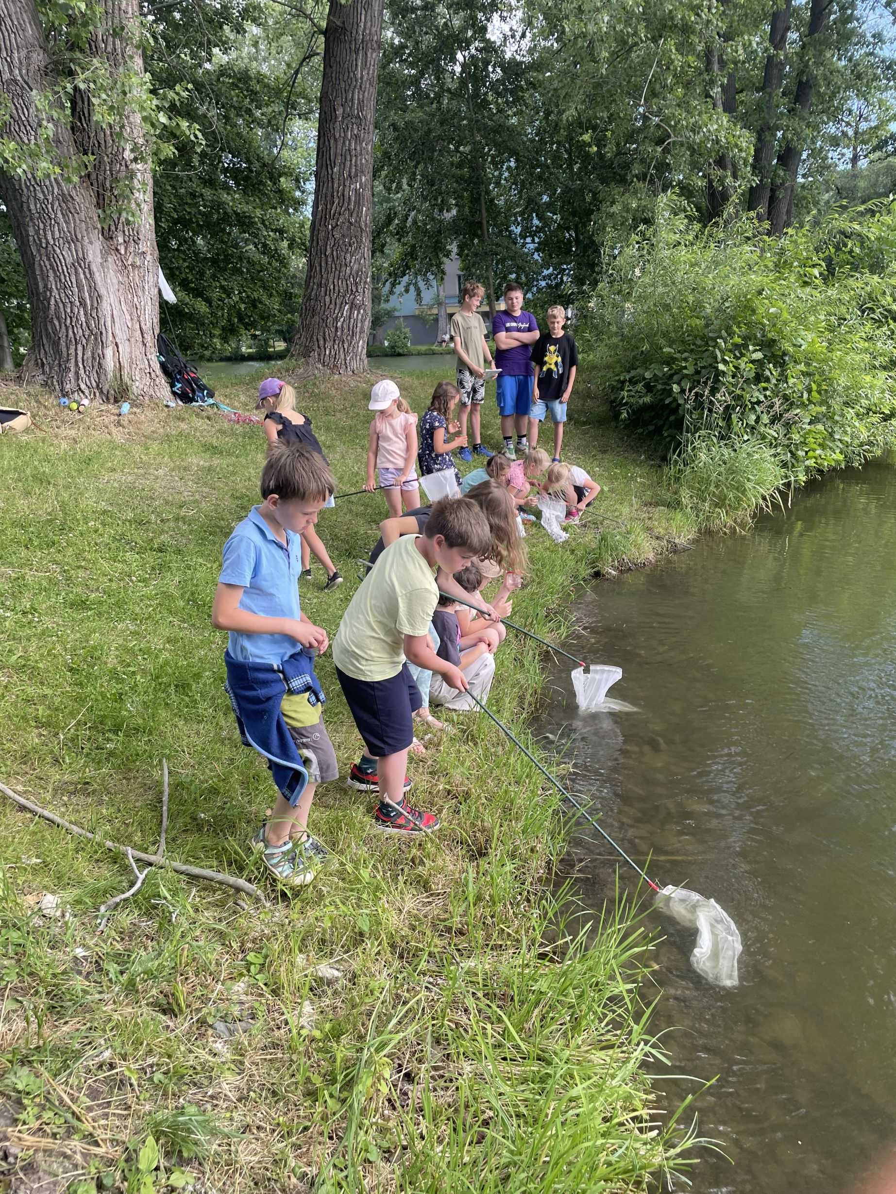 Získali jsme ocenění Zelená škola Olomouckého kraje!