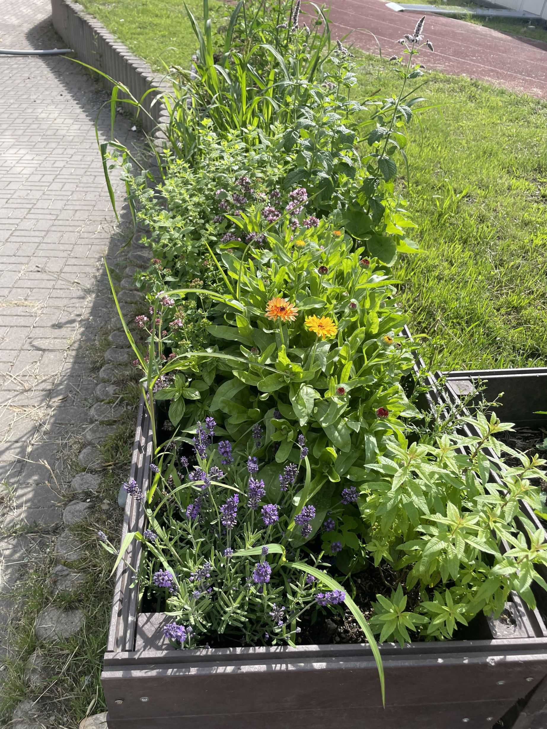 Získali jsme ocenění Zelená škola Olomouckého kraje!