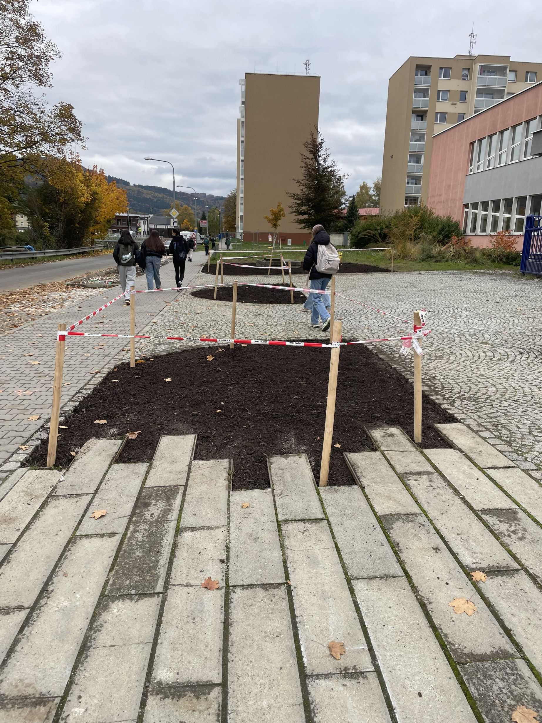 Získali jsme ocenění Zelená škola Olomouckého kraje!