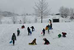 Dění ve školních družinách