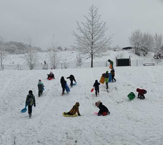Dění ve školních družinách