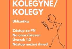 Hledáme uklízečku – zástup za nemoc