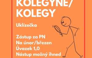 Hledáme uklízečku – zástup za nemoc
