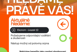 Hledáme ekonoma/ekonomku školy