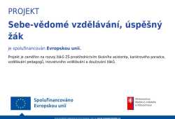 Projekt Sebe-vědomé vzdělávání, úspěšný žák